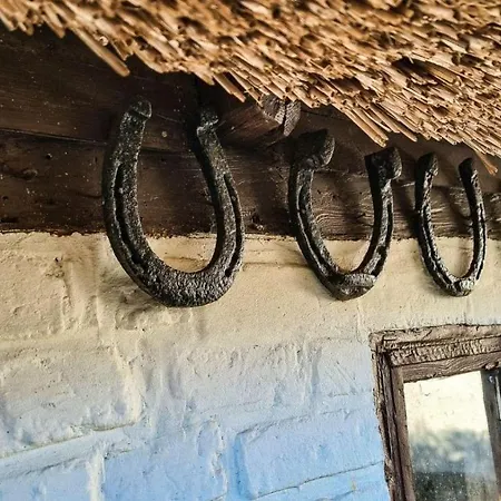 Ferienhaus-unter-reet-„ole-leev“ 펜션